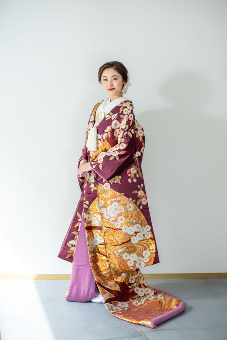 色打掛　流水長寿桜(紫)